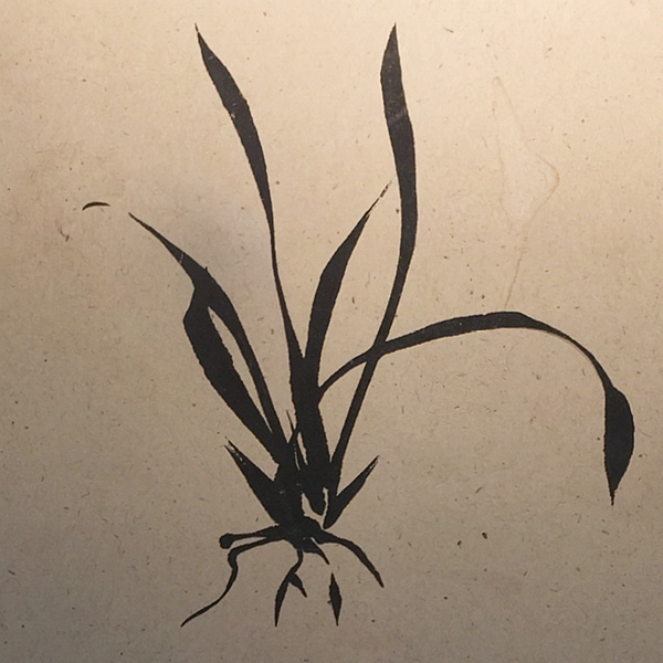 Portrait of Chie Kamegaya