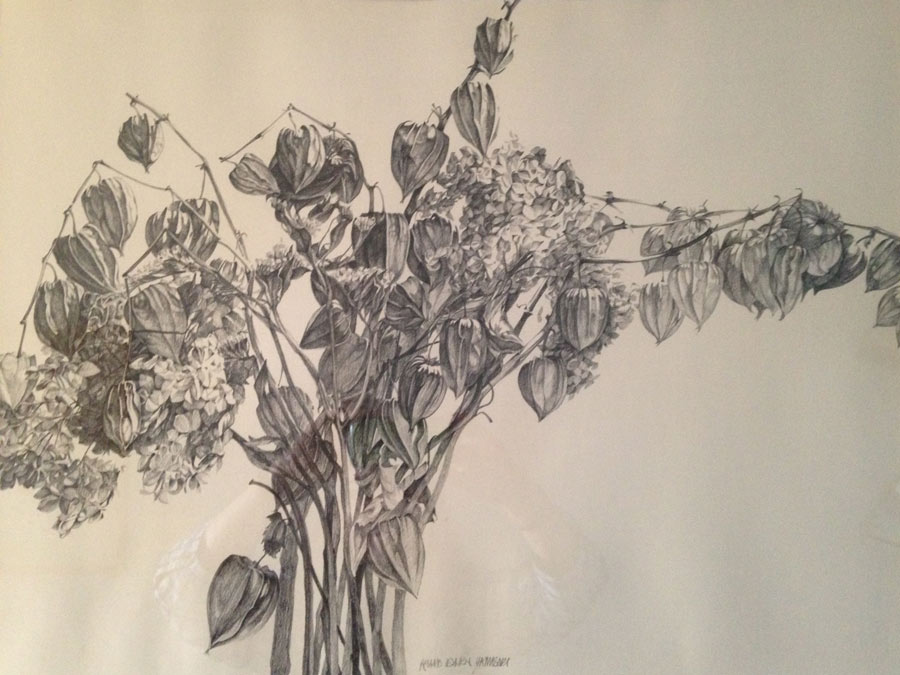 Work by Ellen Anderson