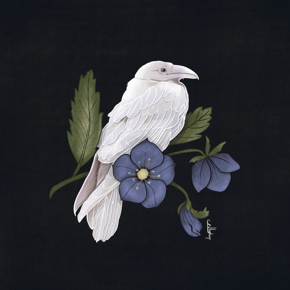 Work by Kimiko Fraser
