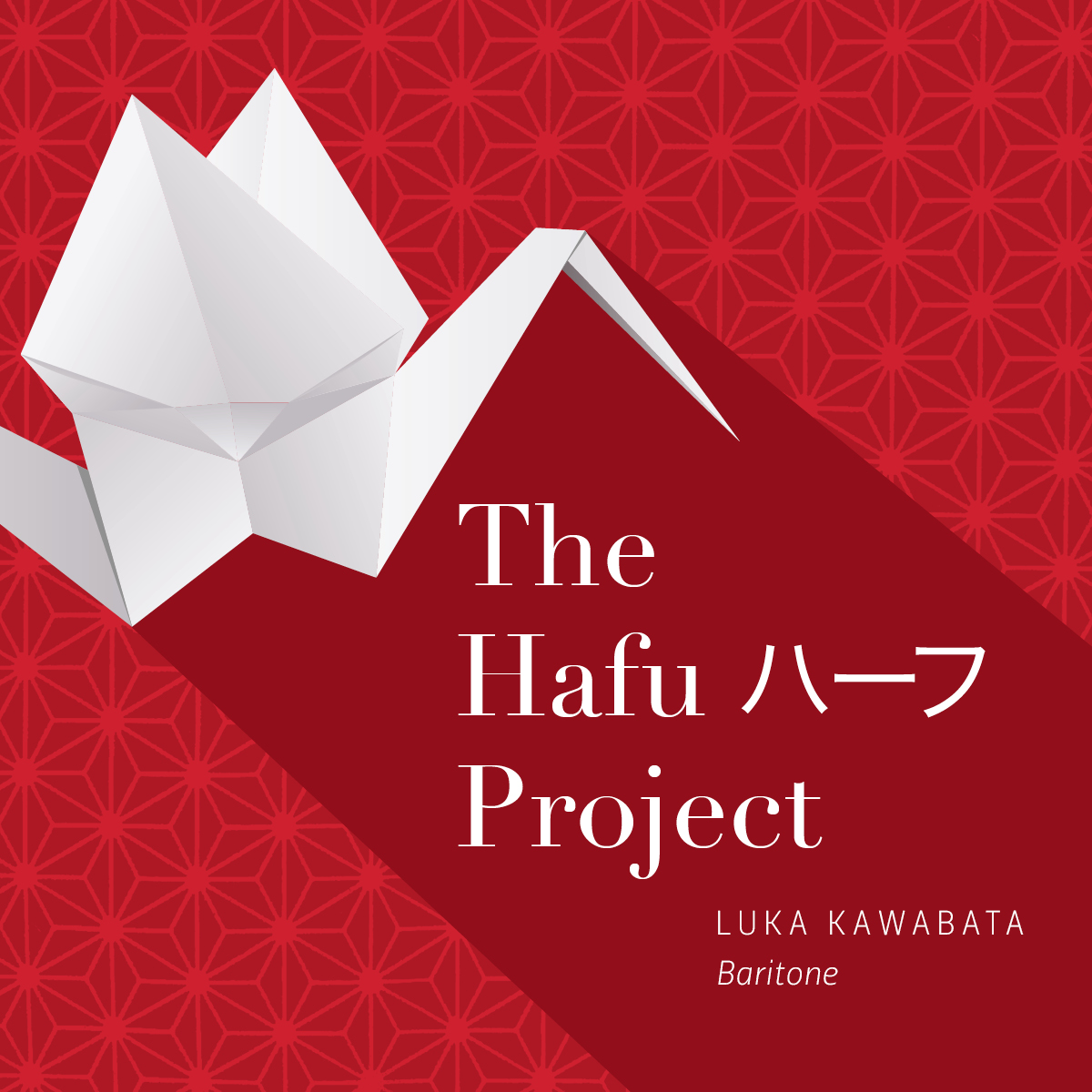 Luka Kawabata The Hafu project