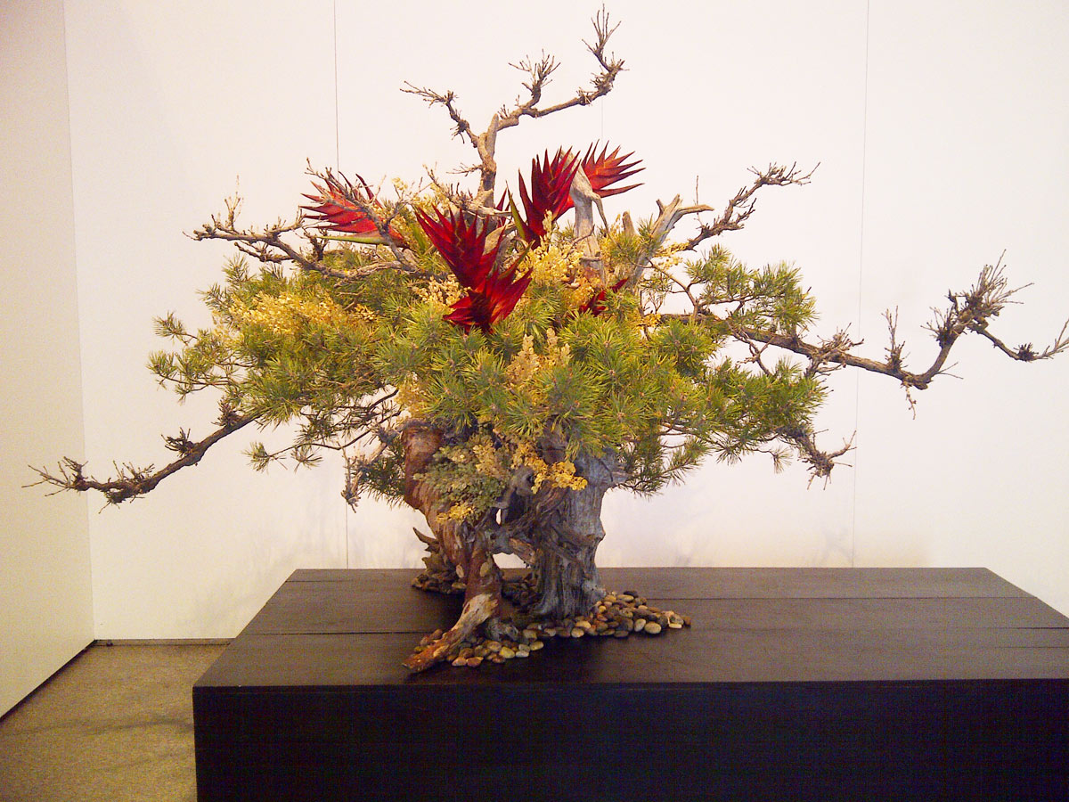 Work by Mitsugi Kikuchi