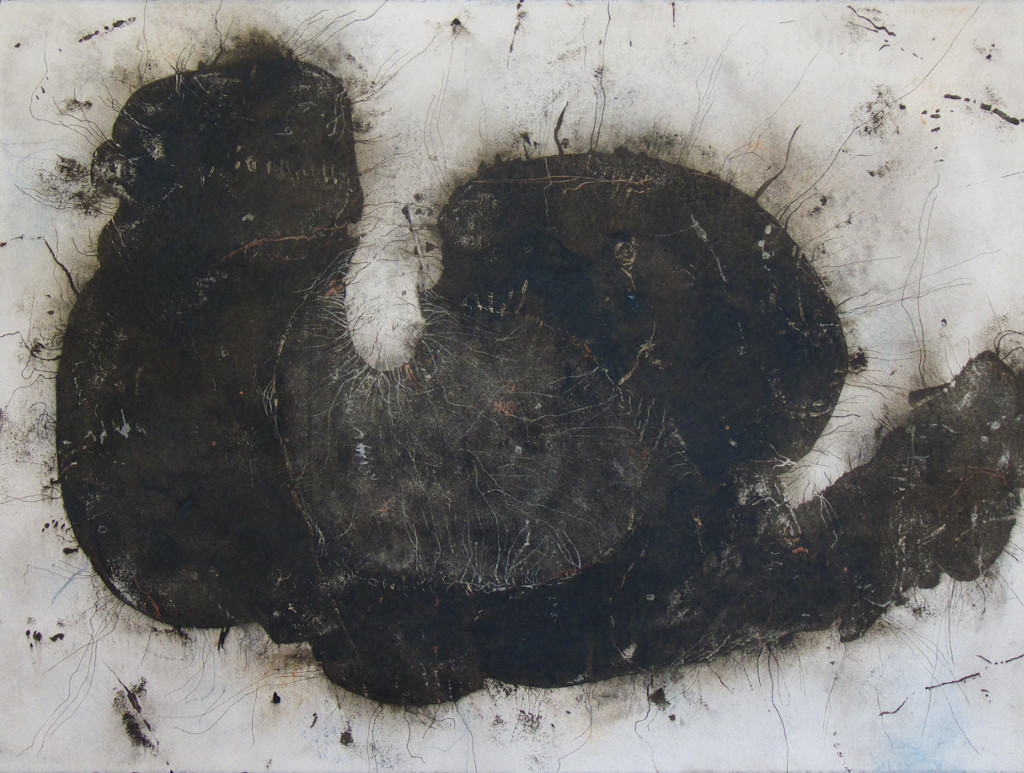 Work by Warren Hoyano