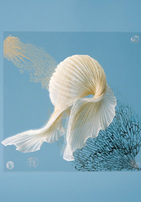 Work by Yvonne Wakabayashi